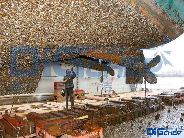 ���w�������