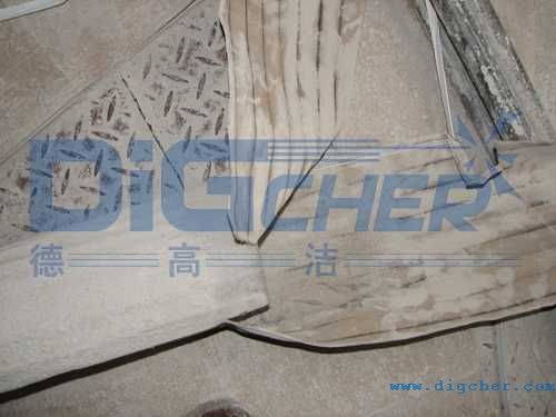 ���W���g���V���Ɠp