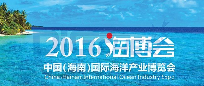 2016������